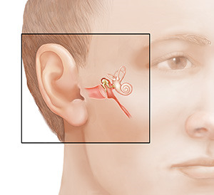 Man's face showing inner ear structures.