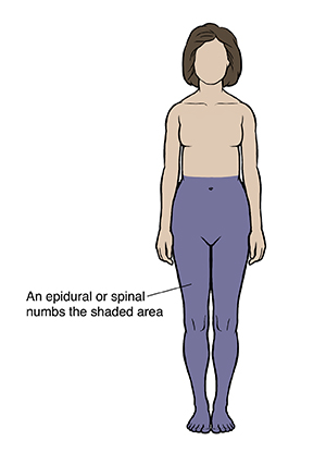 Silhouette of woman with shaded area from waist to feet.