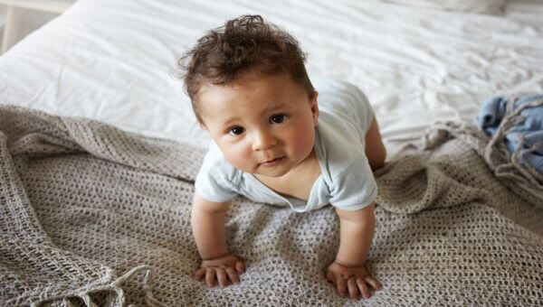 High angle view of charming adorable baby child with big eyes, curly hair and chubby cheeks wearing bodysuit while crawling on bed, raising head and looking at camera with curious facial expression