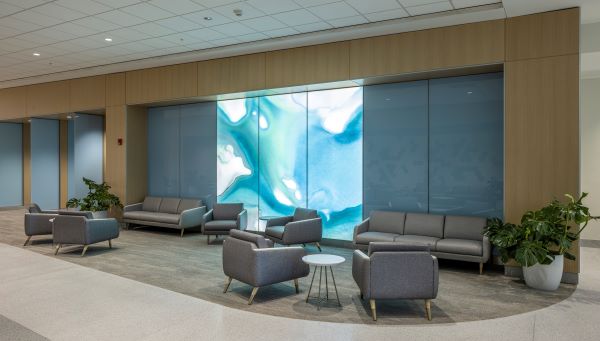 Waiting area inside BayCare Hospital Wesley Chapel with gray cushioned chairs and ferns