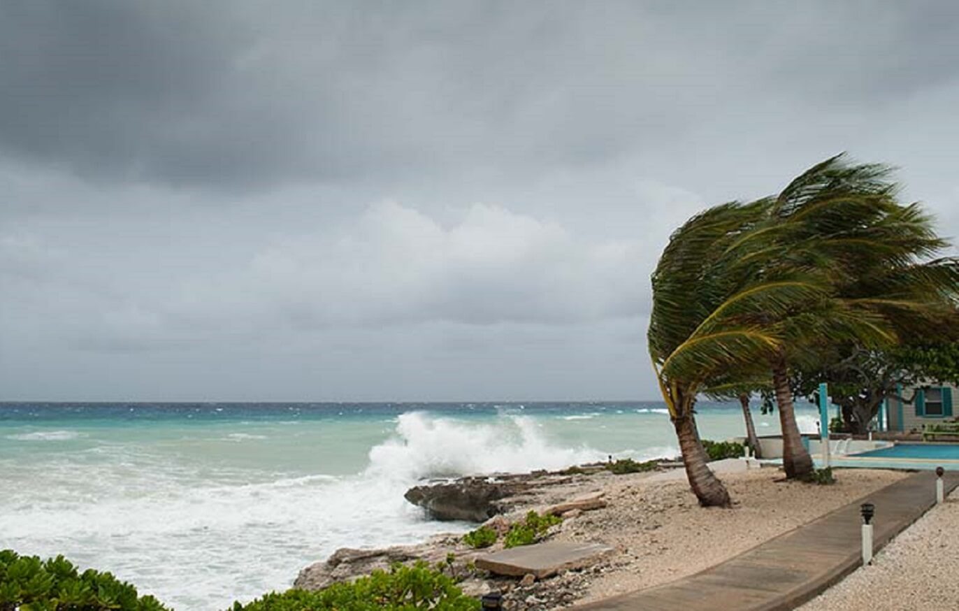 hurricane blowing a palm tree and waves crashing on the beach