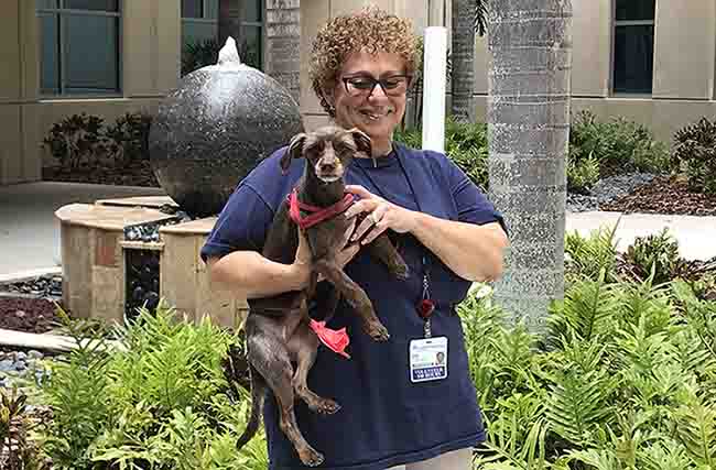 BayCare Therapy Dog Families Share Rescue Stories