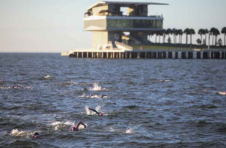 Multiple athletes wearing swim caps swim in a large body of water in front of a building at the end of a pier in Tampa Bay.