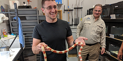Wilderness Medicine: snakes