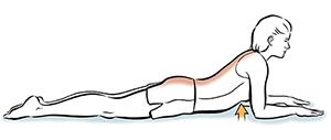 An illustration of a person doing a back extension with elbow press